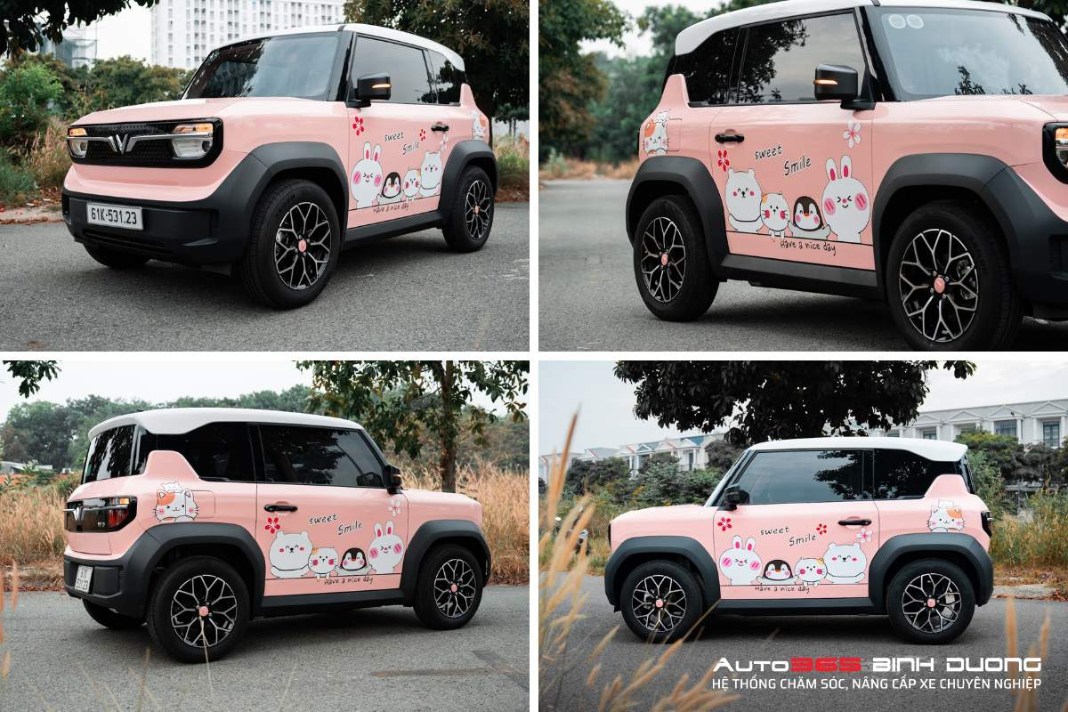 99+ Mẫu Tem VinFast VF3 Độc Đáo Hot 2025 - AUTO365 BÌNH DƯƠNG Mẫu tem VinFast VF3 hồng nhân vật hoạt hình